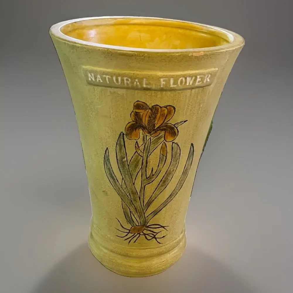 Butter Yellow Rustic Art Pottery Vase Natural Flower Handpainted Iris 8
